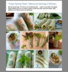 Spring Roll Class  © KETMALA’S KITCHEN 2012-13