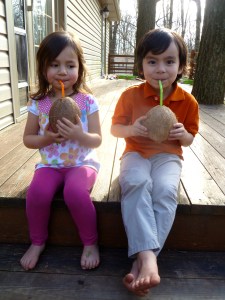 Coconut Juice  © KETMALA’S KITCHEN 2012-13