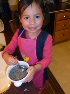 Chia  © KETMALA’S KITCHEN 2012-13