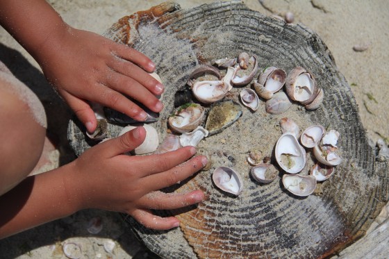 Westbrook, CT © KETMALA’S KITCHEN 2012-13 