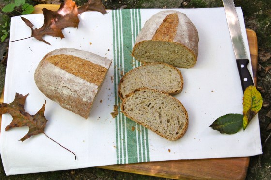 Everyday Artisan Bread Class © KETMALA’S KITCHEN 2012-13