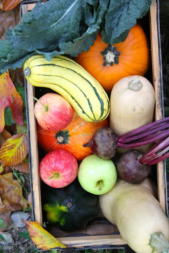 Fall Vegetables & Fruits © KETMALA’S KITCHEN 2012-13