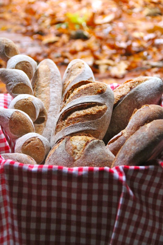 Advanced Artisan Bread Class © KETMALA’S KITCHEN 2012-13