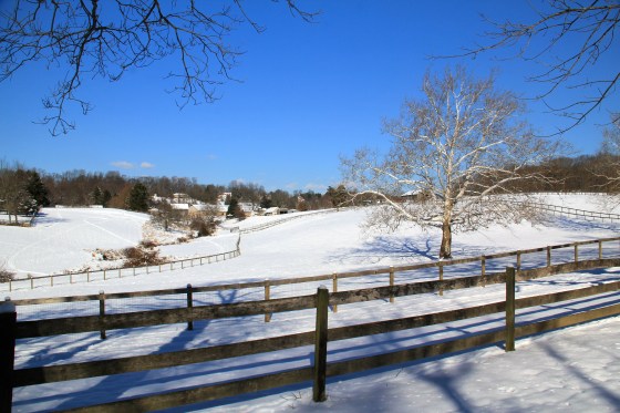 Winter Wonderland © KETMALA’S KITCHEN 2012-13