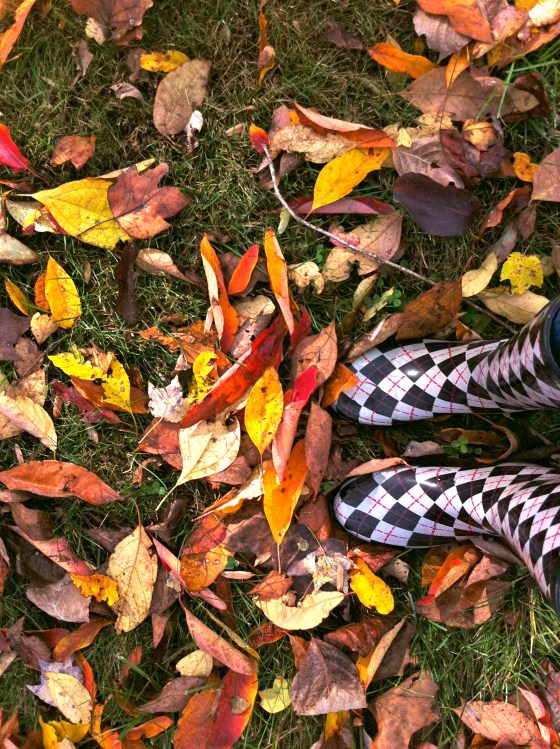 Autumn @ Ketmala's Kitchen 2014