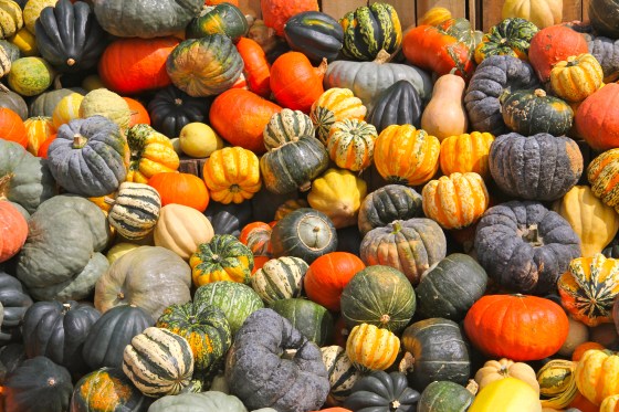 Fall Bounty @ Ketmala's Kitchen 2014